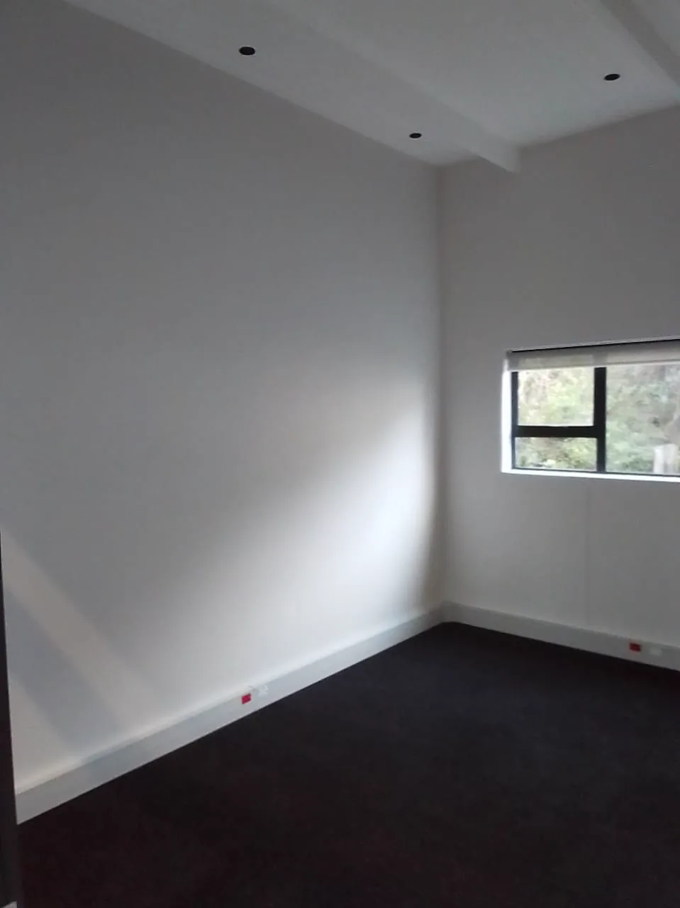 13 Private Road private office space with window and dark carpet